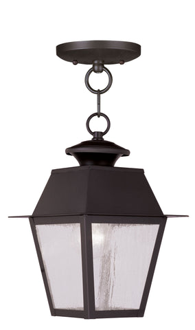 Livex Mansfield 1 Light Bronze Outdoor Chain Lantern  - C185-2164-07