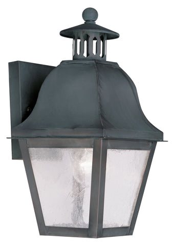 Livex Amwell 1 Light Charcoal Outdoor Wall Lantern - C185-2550-61
