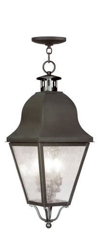 Livex Amwell 3 Light Bronze Outdoor Chain Lantern  - C185-2557-07